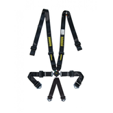 Schroth SFI 16.1 Profi 2x2 Harness